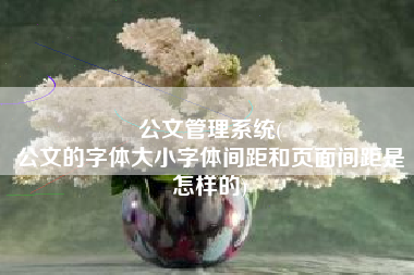 公文管理系统(
公文的字体大小字体间距和页面间距是怎样的) 公文管理系统(
公文的字体大小字体间距和页面间距是怎样的)