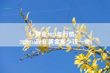 黄金2022年行情(
2022916现在黄金多少钱一克) 黄金2022年行情(
2022916现在黄金多少钱一克)