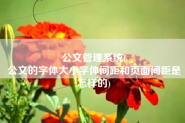 公文管理系统(
公文的字体大小字体间距和页面间距是怎样的) 公文管理系统(
公文的字体大小字体间距和页面间距是怎样的)