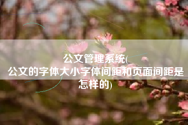 公文管理系统(
公文的字体大小字体间距和页面间距是怎样的) 公文管理系统(
公文的字体大小字体间距和页面间距是怎样的)