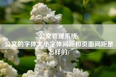 公文管理系统(
公文的字体大小字体间距和页面间距是怎样的) 公文管理系统(
公文的字体大小字体间距和页面间距是怎样的)