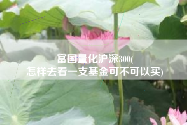 富国量化沪深300(
怎样去看一支基金可不可以买) 富国量化沪深300(
怎样去看一支基金可不可以买)