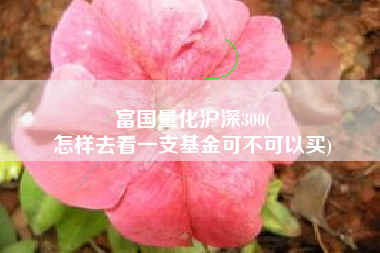 富国量化沪深300(
怎样去看一支基金可不可以买) 富国量化沪深300(
怎样去看一支基金可不可以买)