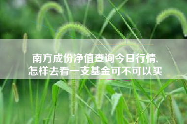 南方成份净值查询今日行情,
怎样去看一支基金可不可以买 南方成份净值查询今日行情,
怎样去看一支基金可不可以买