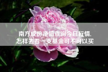 南方成份净值查询今日行情,
怎样去看一支基金可不可以买 南方成份净值查询今日行情,
怎样去看一支基金可不可以买