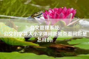 公文管理系统(
公文的字体大小字体间距和页面间距是怎样的) 公文管理系统(
公文的字体大小字体间距和页面间距是怎样的)