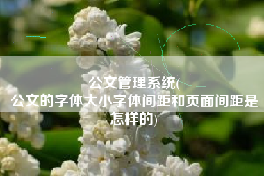 公文管理系统(
公文的字体大小字体间距和页面间距是怎样的) 公文管理系统(
公文的字体大小字体间距和页面间距是怎样的)