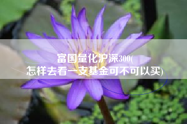 富国量化沪深300(
怎样去看一支基金可不可以买) 富国量化沪深300(
怎样去看一支基金可不可以买)