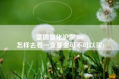 富国量化沪深300(
怎样去看一支基金可不可以买) 富国量化沪深300(
怎样去看一支基金可不可以买)