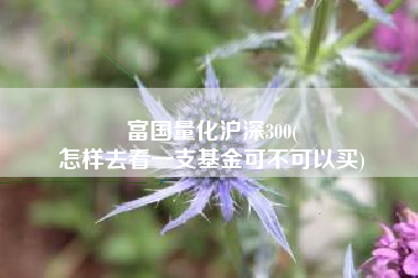 富国量化沪深300(
怎样去看一支基金可不可以买) 富国量化沪深300(
怎样去看一支基金可不可以买)