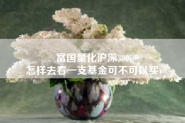 富国量化沪深300(
怎样去看一支基金可不可以买) 富国量化沪深300(
怎样去看一支基金可不可以买)