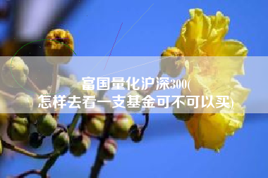 富国量化沪深300(
怎样去看一支基金可不可以买) 富国量化沪深300(
怎样去看一支基金可不可以买)