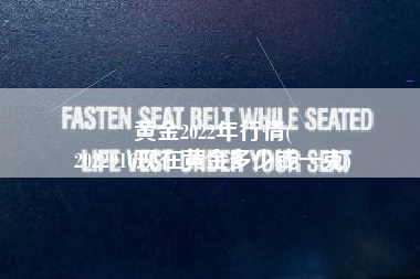 黄金2022年行情(
2022916现在黄金多少钱一克) 黄金2022年行情(
2022916现在黄金多少钱一克)