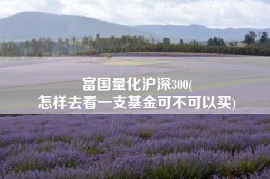 富国量化沪深300(
怎样去看一支基金可不可以买) 富国量化沪深300(
怎样去看一支基金可不可以买)