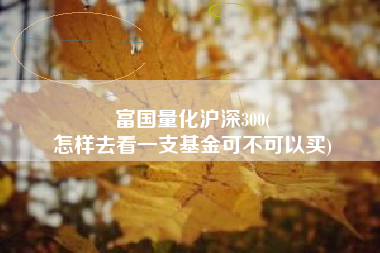 富国量化沪深300(
怎样去看一支基金可不可以买) 富国量化沪深300(
怎样去看一支基金可不可以买)