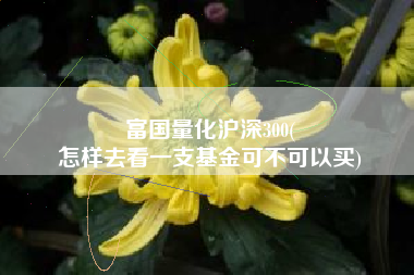 富国量化沪深300(
怎样去看一支基金可不可以买) 富国量化沪深300(
怎样去看一支基金可不可以买)