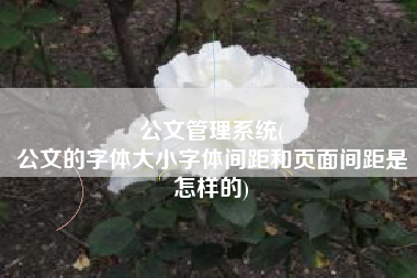 公文管理系统(
公文的字体大小字体间距和页面间距是怎样的) 公文管理系统(
公文的字体大小字体间距和页面间距是怎样的)