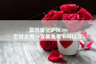富国量化沪深300(
怎样去看一支基金可不可以买) 富国量化沪深300(
怎样去看一支基金可不可以买)