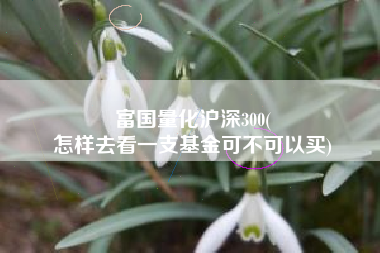 富国量化沪深300(
怎样去看一支基金可不可以买) 富国量化沪深300(
怎样去看一支基金可不可以买)