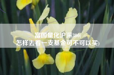 富国量化沪深300(
怎样去看一支基金可不可以买) 富国量化沪深300(
怎样去看一支基金可不可以买)