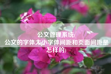 公文管理系统(
公文的字体大小字体间距和页面间距是怎样的) 公文管理系统(
公文的字体大小字体间距和页面间距是怎样的)