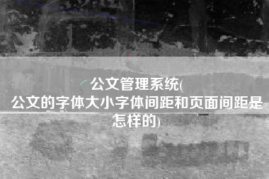 公文管理系统(
公文的字体大小字体间距和页面间距是怎样的) 公文管理系统(
公文的字体大小字体间距和页面间距是怎样的)