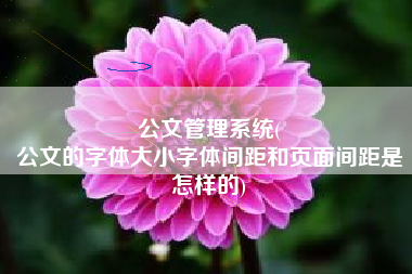 公文管理系统(
公文的字体大小字体间距和页面间距是怎样的) 公文管理系统(
公文的字体大小字体间距和页面间距是怎样的)