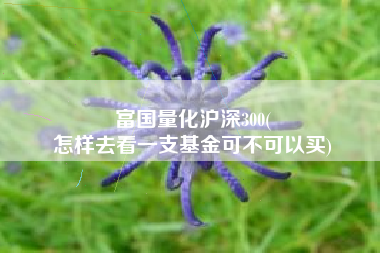 富国量化沪深300(
怎样去看一支基金可不可以买) 富国量化沪深300(
怎样去看一支基金可不可以买)
