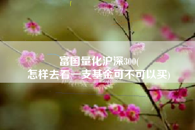 富国量化沪深300(
怎样去看一支基金可不可以买) 富国量化沪深300(
怎样去看一支基金可不可以买)