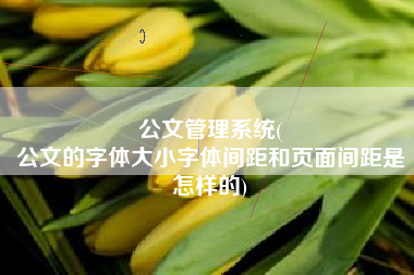公文管理系统(
公文的字体大小字体间距和页面间距是怎样的) 公文管理系统(
公文的字体大小字体间距和页面间距是怎样的)