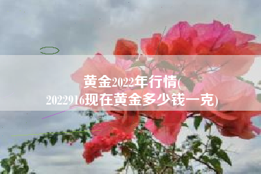 黄金2022年行情(
2022916现在黄金多少钱一克) 黄金2022年行情(
2022916现在黄金多少钱一克)