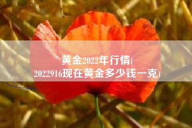 黄金2022年行情(
2022916现在黄金多少钱一克) 黄金2022年行情(
2022916现在黄金多少钱一克)