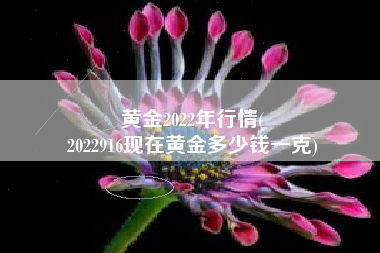 黄金2022年行情(
2022916现在黄金多少钱一克) 黄金2022年行情(
2022916现在黄金多少钱一克)