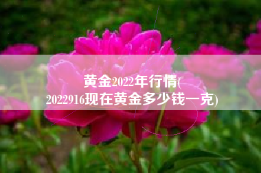 黄金2022年行情(
2022916现在黄金多少钱一克) 黄金2022年行情(
2022916现在黄金多少钱一克)