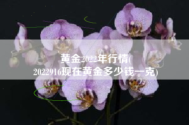 黄金2022年行情(
2022916现在黄金多少钱一克) 黄金2022年行情(
2022916现在黄金多少钱一克)