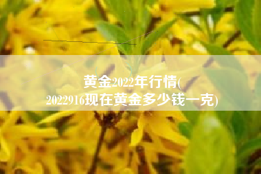 黄金2022年行情(
2022916现在黄金多少钱一克) 黄金2022年行情(
2022916现在黄金多少钱一克)