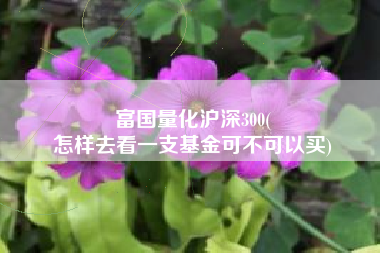 富国量化沪深300(
怎样去看一支基金可不可以买) 富国量化沪深300(
怎样去看一支基金可不可以买)