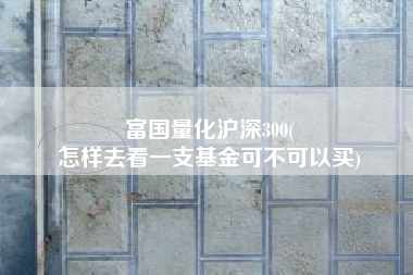 富国量化沪深300(
怎样去看一支基金可不可以买) 富国量化沪深300(
怎样去看一支基金可不可以买)