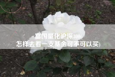 富国量化沪深300(
怎样去看一支基金可不可以买) 富国量化沪深300(
怎样去看一支基金可不可以买)