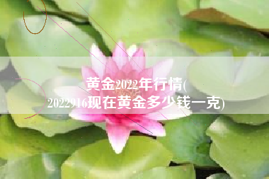 黄金2022年行情(
2022916现在黄金多少钱一克) 黄金2022年行情(
2022916现在黄金多少钱一克)