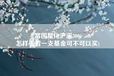富国量化沪深300(
怎样去看一支基金可不可以买) 富国量化沪深300(
怎样去看一支基金可不可以买)