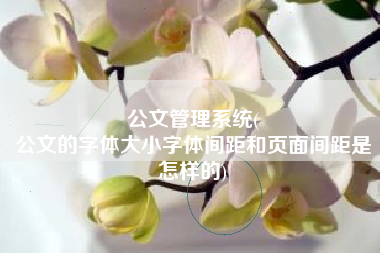 公文管理系统(
公文的字体大小字体间距和页面间距是怎样的) 公文管理系统(
公文的字体大小字体间距和页面间距是怎样的)