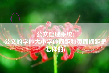 公文管理系统(
公文的字体大小字体间距和页面间距是怎样的) 公文管理系统(
公文的字体大小字体间距和页面间距是怎样的)