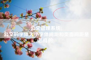 公文管理系统(
公文的字体大小字体间距和页面间距是怎样的) 公文管理系统(
公文的字体大小字体间距和页面间距是怎样的)