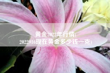 黄金2022年行情(
2022916现在黄金多少钱一克) 黄金2022年行情(
2022916现在黄金多少钱一克)