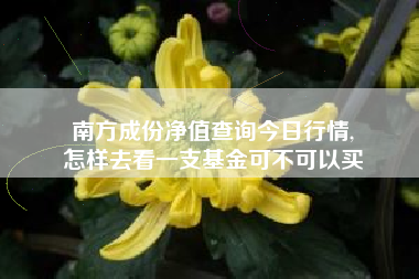 南方成份净值查询今日行情,
怎样去看一支基金可不可以买 南方成份净值查询今日行情,
怎样去看一支基金可不可以买