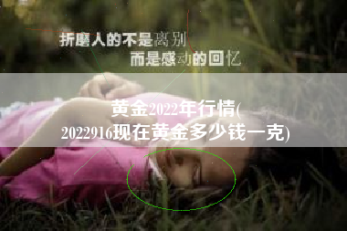 黄金2022年行情(
2022916现在黄金多少钱一克) 黄金2022年行情(
2022916现在黄金多少钱一克)