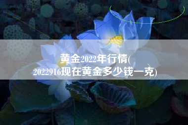 黄金2022年行情(
2022916现在黄金多少钱一克) 黄金2022年行情(
2022916现在黄金多少钱一克)