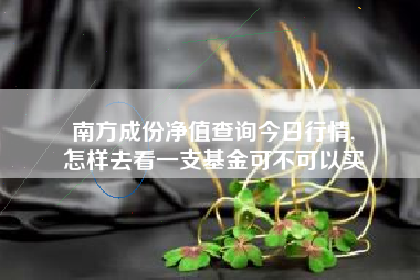 南方成份净值查询今日行情,
怎样去看一支基金可不可以买 南方成份净值查询今日行情,
怎样去看一支基金可不可以买