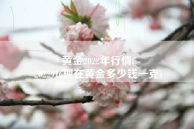 黄金2022年行情(
2022916现在黄金多少钱一克) 黄金2022年行情(
2022916现在黄金多少钱一克)